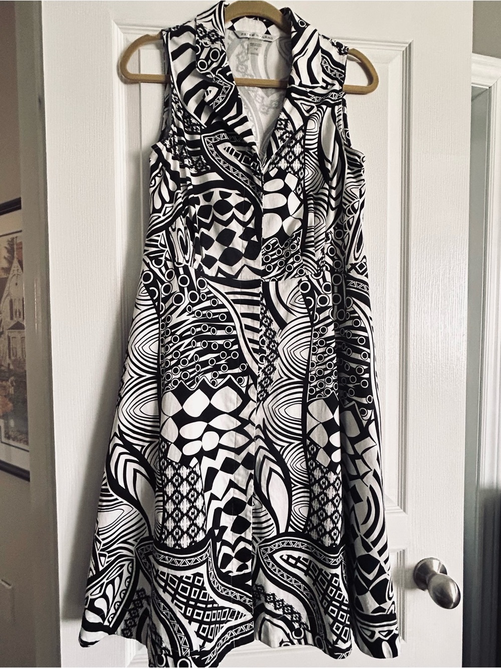 Black & White Sleeveless Collared A-Line Dress